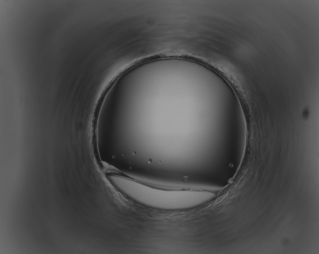 X0000097951183200804011627
