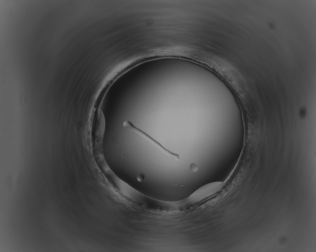 X0000097951184200804011627