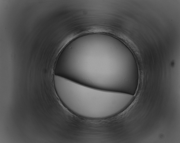 X0000097951185200804011627