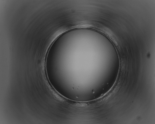 X0000097951186200804011627