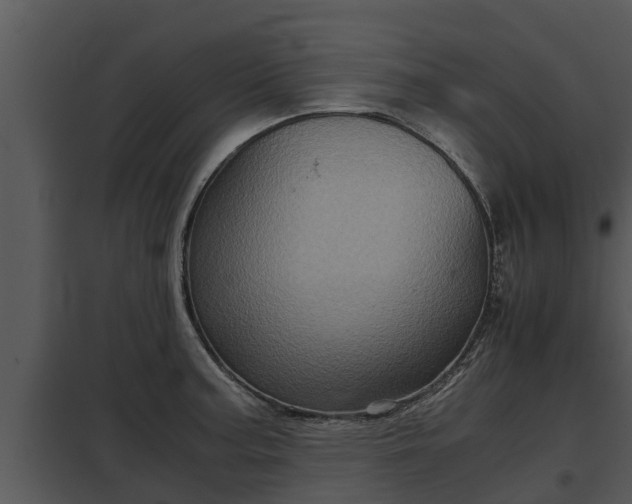 X0000097951187200804011627