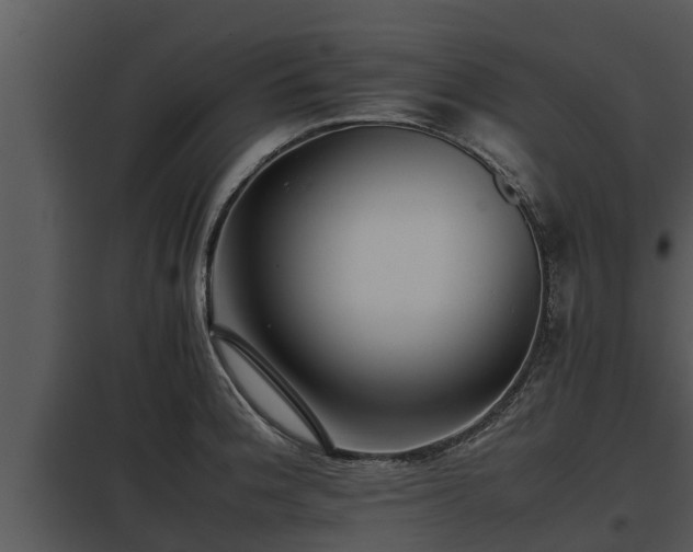 X0000097951188200804011627