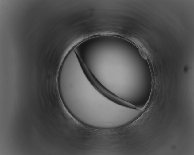 X0000097951189200804011627