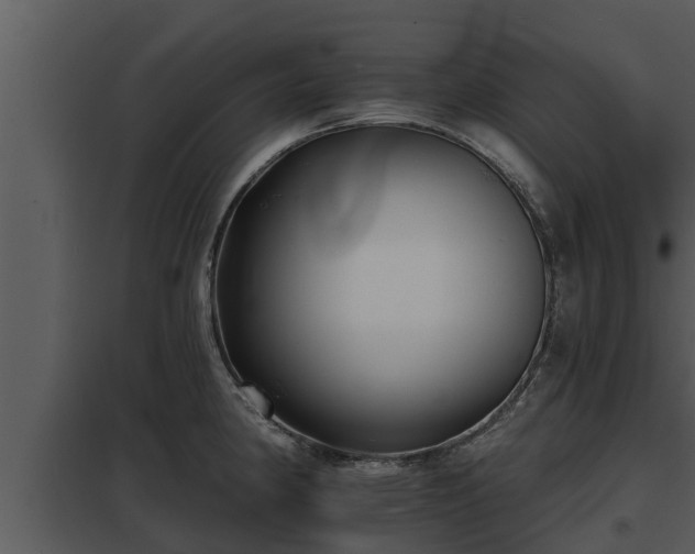 X0000097951190200804011627