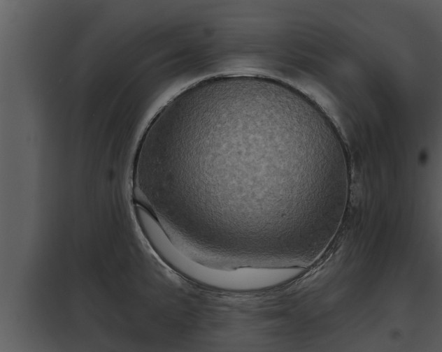 X0000097951191200804011627