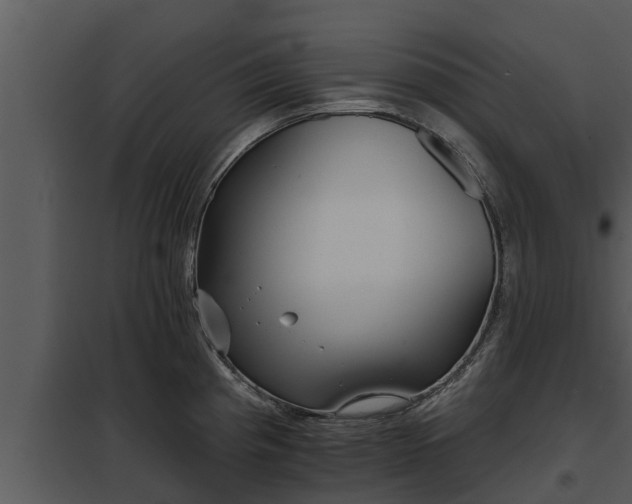 X0000097951193200804011627