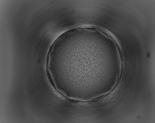 X0000097951194200804011627