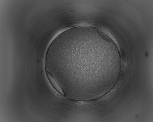 X0000097951195200804011627