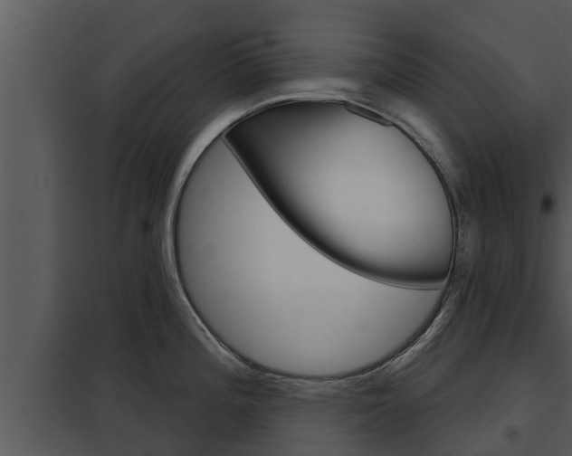 X0000097951196200804011627