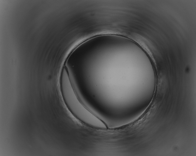 X0000097951197200804011627