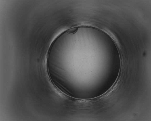 X0000097951198200804011627