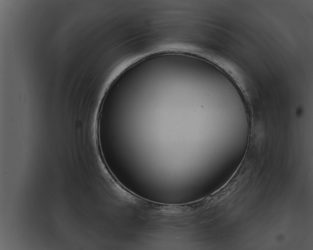 X0000097951199200804011627