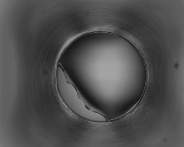 X0000097951200200804011627