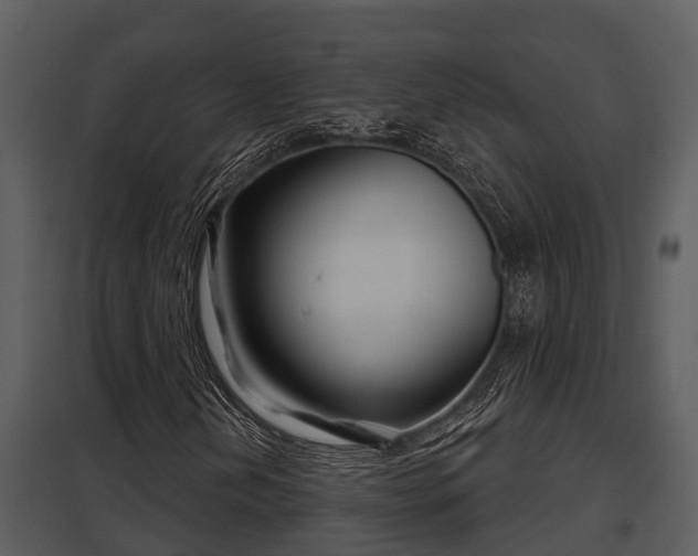 X0000097951202200804011626