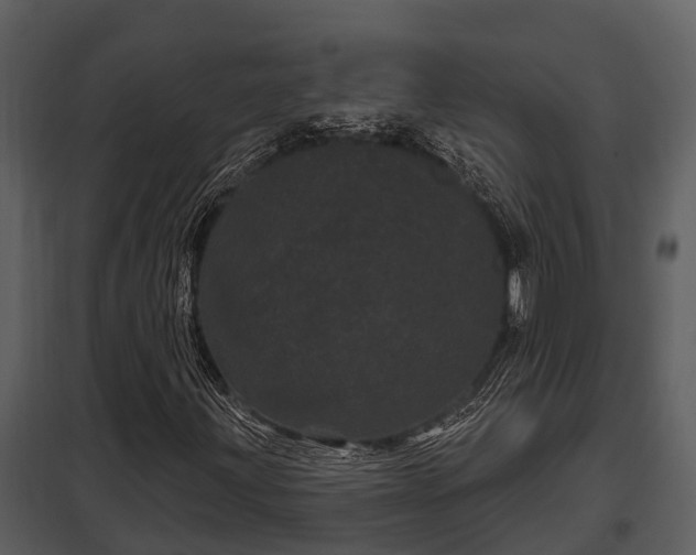 X0000097951203200804011626