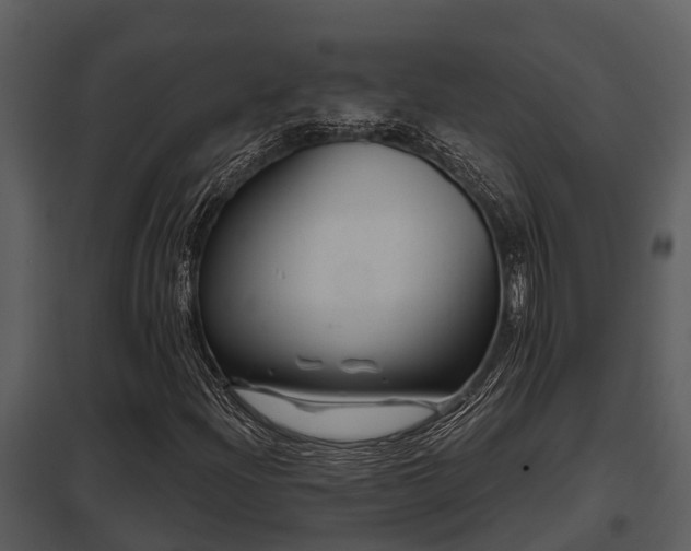 X0000097951204200804011626