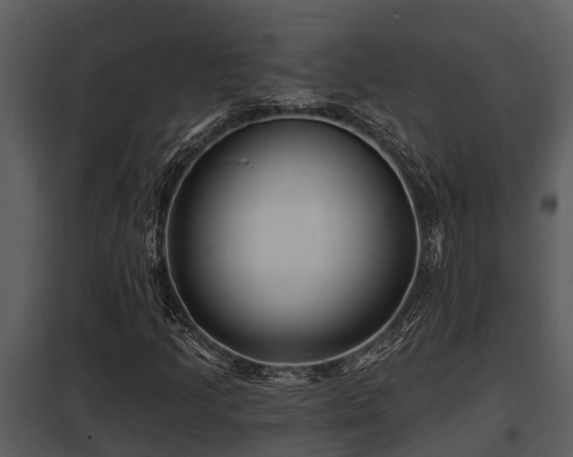X0000097951205200804011626