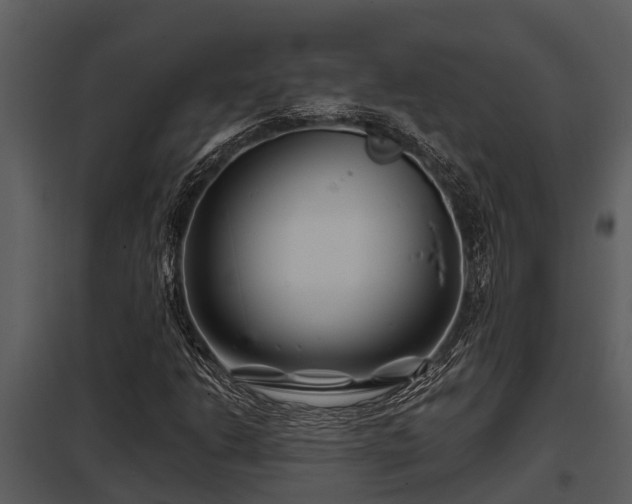 X0000097951206200804011626
