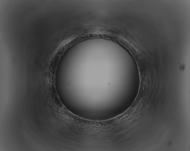 X0000097951207200804011626