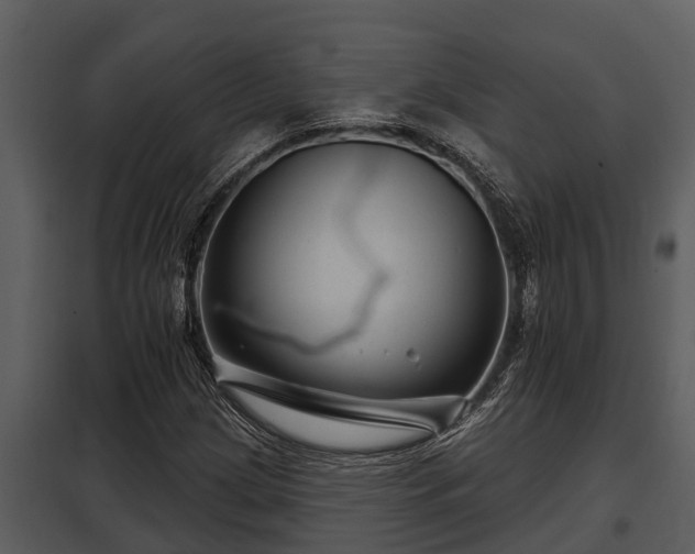 X0000097951209200804011626