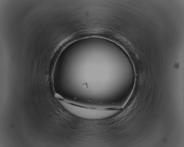 X0000097951210200804011626