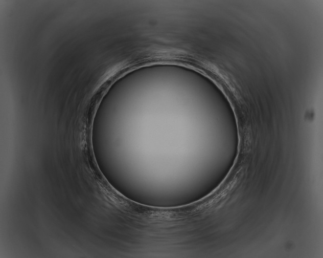 X0000097951211200804011626