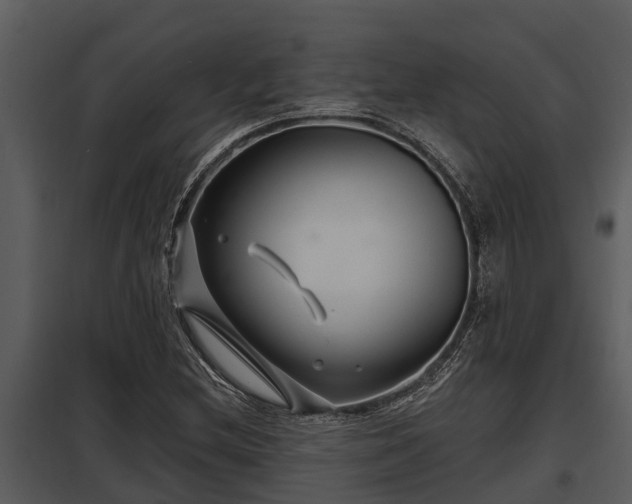 X0000097951212200804011626