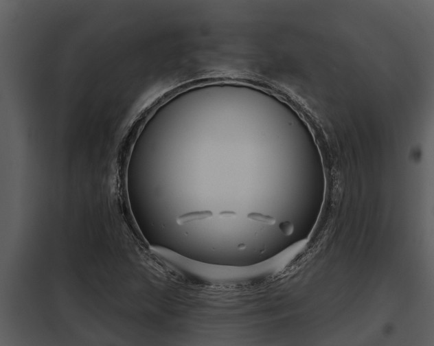 X0000097951215200804011627