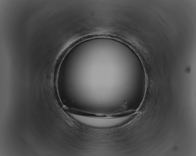 X0000097951216200804011627