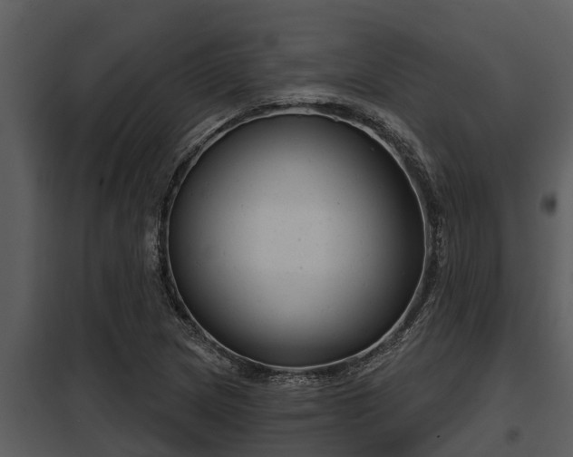 X0000097951217200804011627