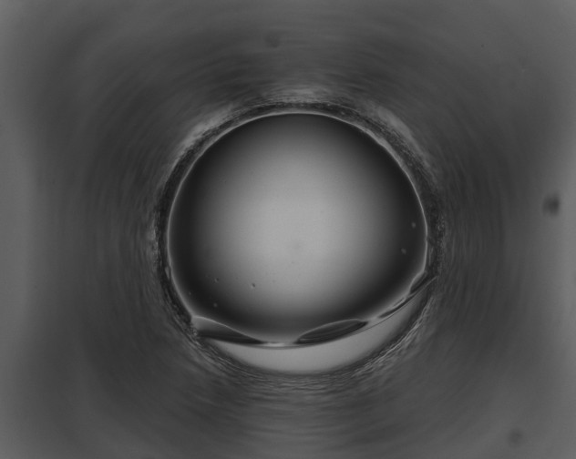 X0000097951218200804011627