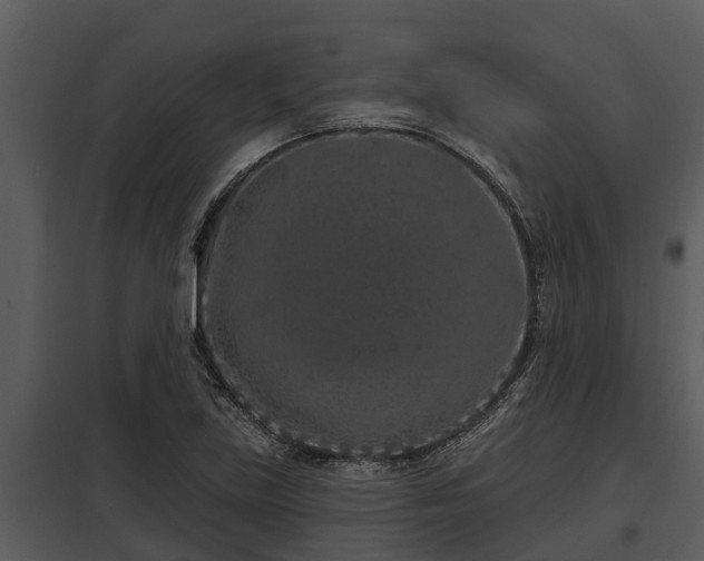 X0000097951219200804011627