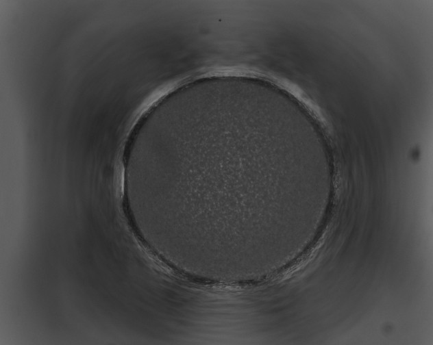 X0000097951221200804011627