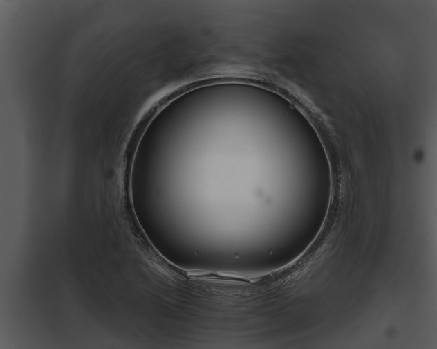 X0000097951222200804011627