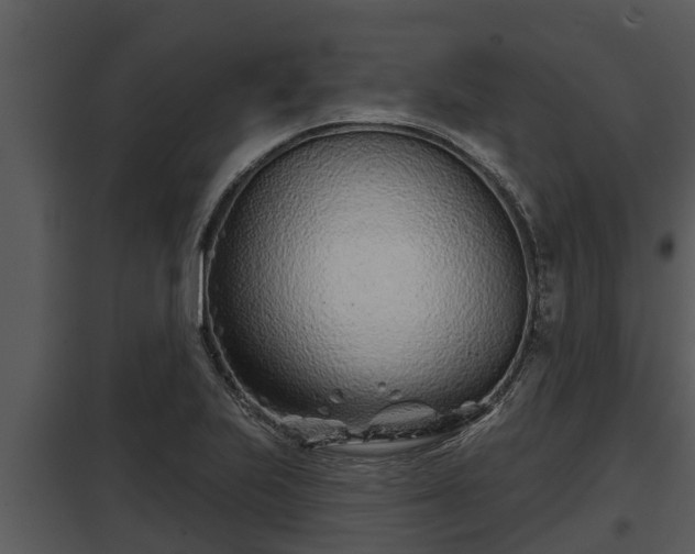 X0000097951223200804011627