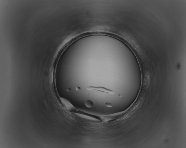 X0000097951224200804011627