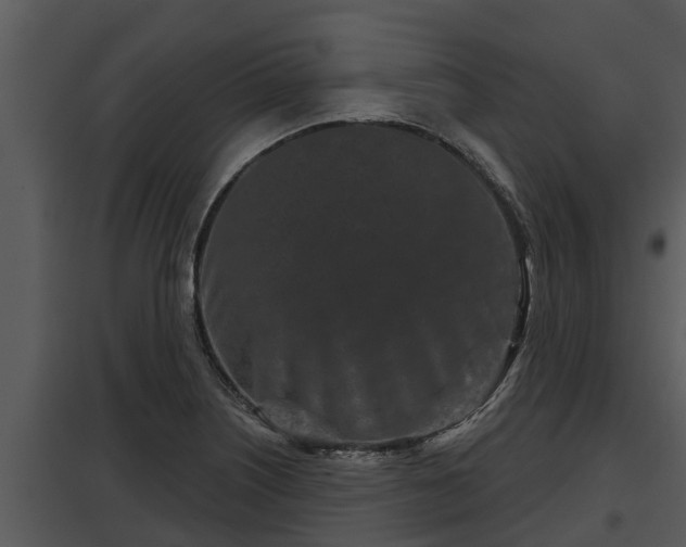 X0000097951226200804011627