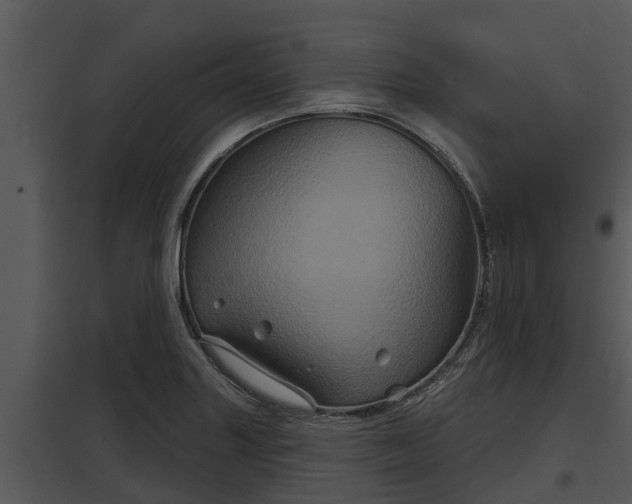 X0000097951227200804011627