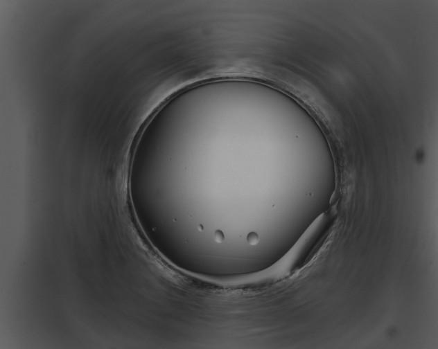 X0000097951228200804011627