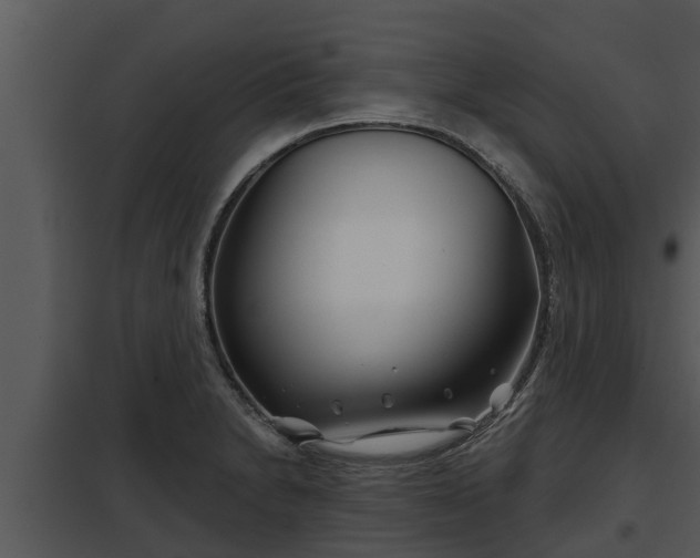 X0000097951230200804011627
