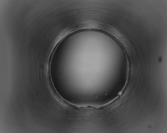 X0000097951234200804011627