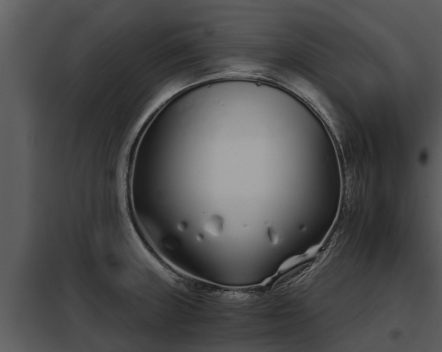 X0000097951235200804011627