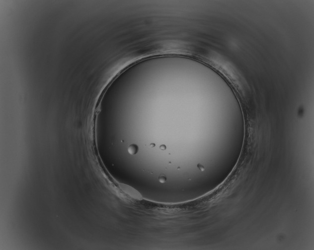 X0000097951236200804011627