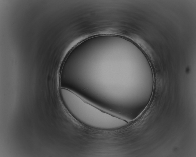 X0000097951238200804011627