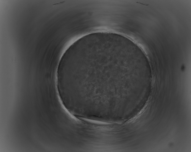 X0000097951239200804011627