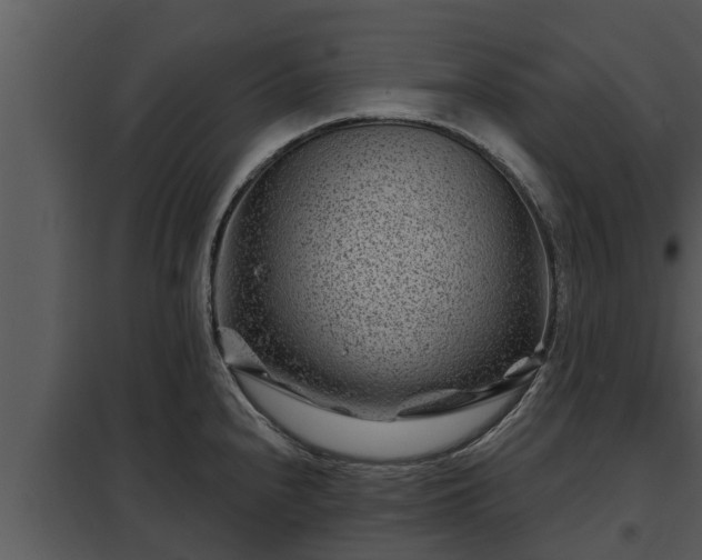 X0000097951240200804011627