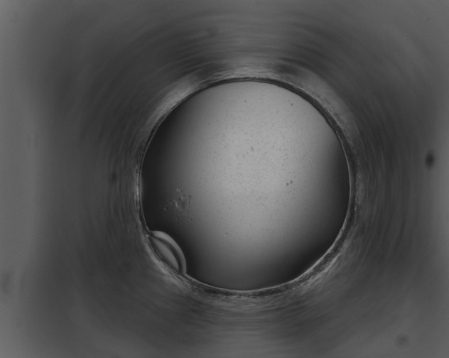 X0000097951241200804011627