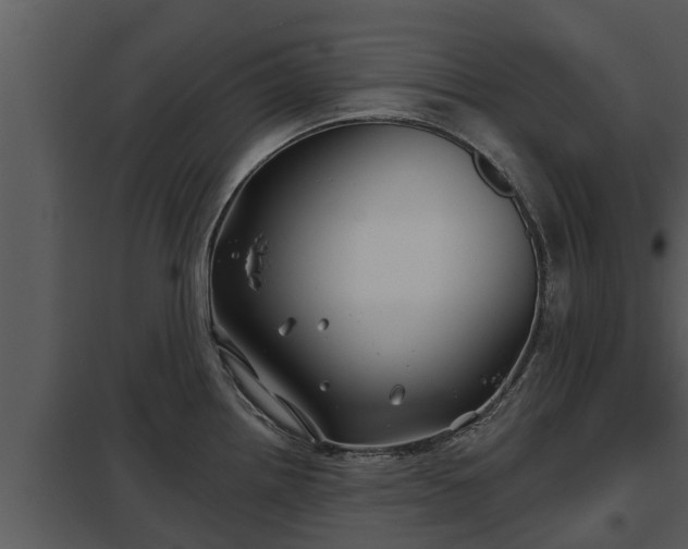 X0000097951242200804011627
