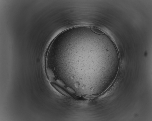 X0000097951243200804011627