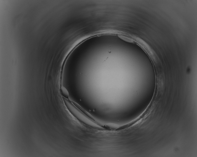 X0000097951244200804011627